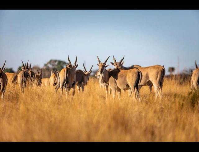 2 BEDROOM HOUSE FOR SALE IN KUDU PRIVATE NATURE RESERVE
